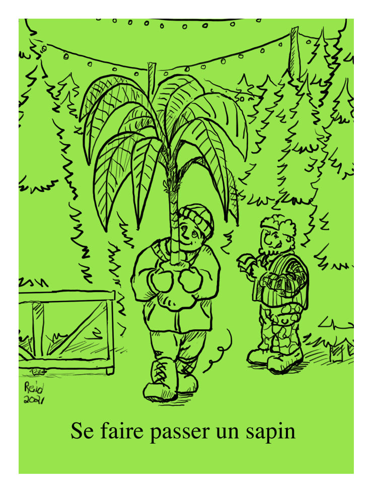 Se faire passer un sapin
